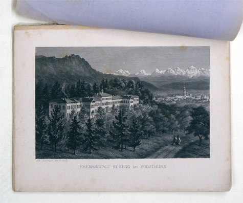 Die Irrenanstalt Rosegg  in Solothurn. Die Papierfabrik Biberist. Die Schuhfabrik E. F. Bally in Schönenwerd. u.a.m.
