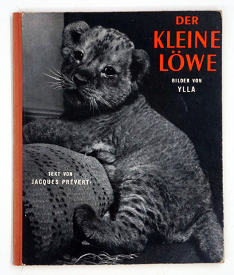 Der kleine Löwe