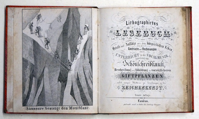 Lithographirtes Lesebuch oder Briefe und Aufsätze aus dem bürgerlichen Leben Contracte und Rechnungen einem Unterricht in der Vocalmusik; Anweisung zur Schönschreibkunst; Beschreibung und Abbildung der vorzüglichsten Giftpflanzen nebst einigen Blättern zu