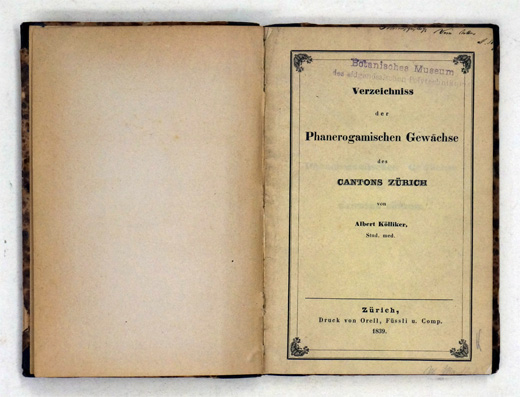 Verzeichniss der Phanerogamischen Gewächse des Cantons Zürich