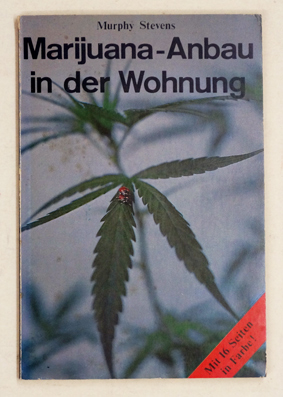 Marijuana-Anbau in der Wohnung mit künstlichem Licht.