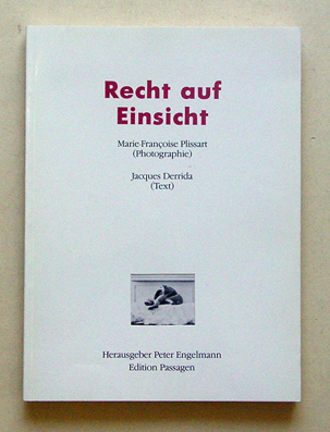 Recht auf Einsicht