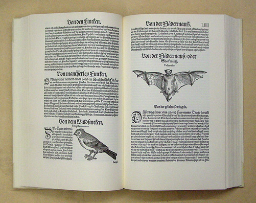 Vogelbuch