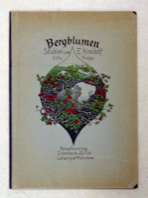 Bergblumen- Studien