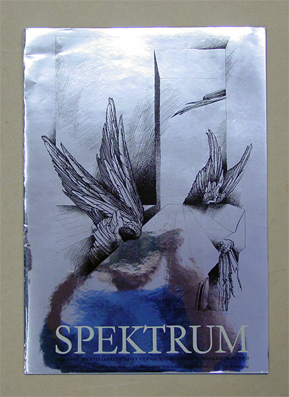Spektrum Heft 71. Fläche