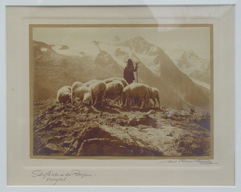 Schafhirte in den Bergen. Rosegtal [sic]