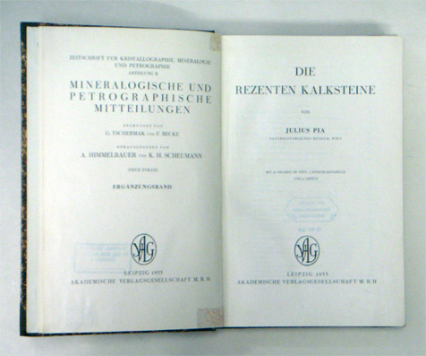 Die rezenten Kalksteine