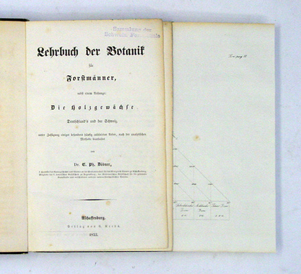 Lehrbuch der Botanik für Forstmänner, nebst einem Anhange: Die Holzgewächse Deutschland‘s und der Schweiz, unter Zufügung einiger besonders häufig cultivirten Arten, nach der analytischen Methode bearbeitet