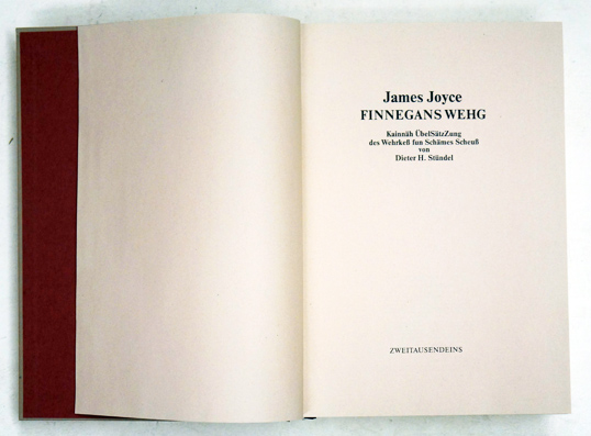 Finnegans Wehg