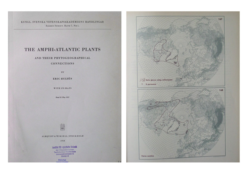 The amphi-atlantic plants and their phytogeographical connections