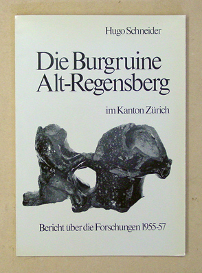 Die Burgruine Alt-Regensberg im Kanton Zürich