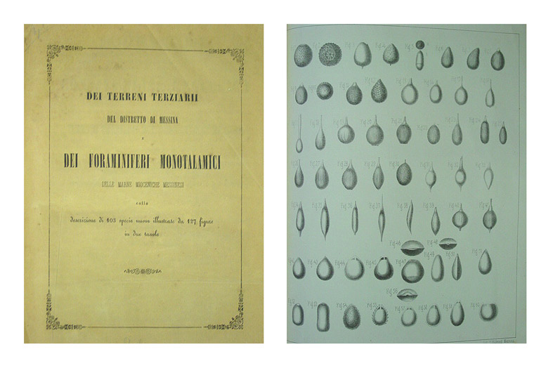 Dei terreni terziarii del distretto di Messina e dei foraminiferi monotalamici delle marne mioceniche messinesi colla descrizione di 103 specie nuove illustrate da 127 figure in due tavole