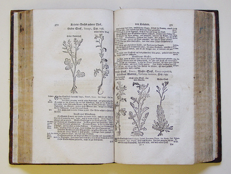Herrn Adami Loniceri ... Vollständiges Kräuter-Buch, und Künstliche Contrefeytungen der Bäumen, Stauden, Hecken, Kräuter, Geträyde, Gewürtzen etc. mit eigentlicher Beschreibung deroselben Namen in Deutsch-, Griechisch-, Lateinisch-, Französisch-, Italiäni