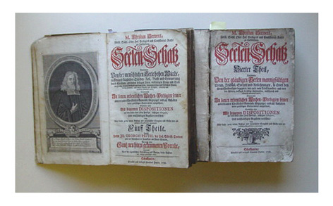 1. Bd: Seelen-Schatz. Darinnen Von der menschlichen Seelen hohen Würde, tieffen und kläglichen Sünden-Fall, Busse und Erneuerung durch Christum, göttlichen heiligen Leben, vielfältigen Creutz und Trost im Creutz, seligen Abschied aus dem Leibe, triumphirl
