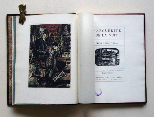 Marguerite de la nuit 