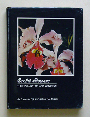 Orchid flowers
