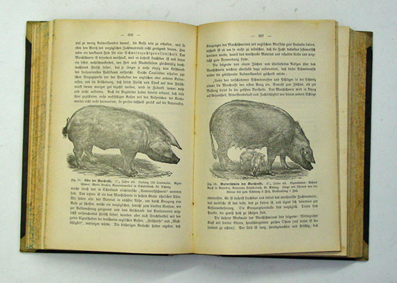 Schweizerische landwirthschaftliche Zeitschrift