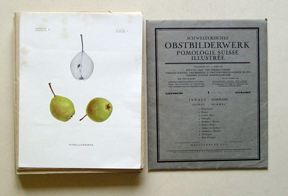 Schweizerisches Obstbilderwerk. Pomologie Suisse illustrée