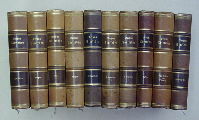 Brehms Tierleben