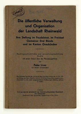 Die öffentliche Verwaltung und Organisation der Landschaft Rheinwald