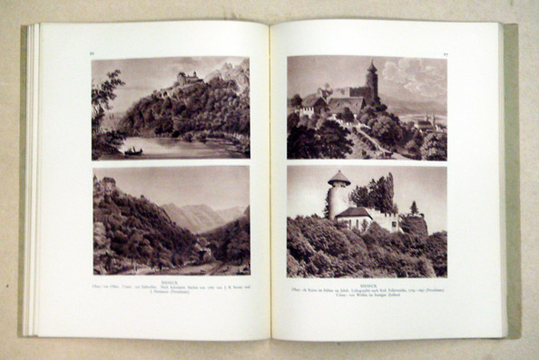 Die Burgen und Schlösser der Kantone Basel-Stadt und Basel-Landschaft