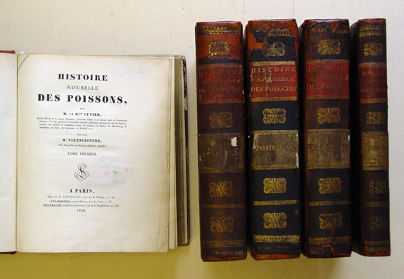 Histoire naturelle des poissons. Bde. I - IX (von insgesamt XXII Bdn.), in 5 Bdn.