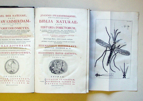 Bybel der natuure door Jan Swammerdam, Amsteldammer, of, Historie der insecten tot zeekere zoorten gebracht: door voorbeelden, ontleedkundige onderzoekingen van veelerhande kleine gediertens, als ook door kunstige kopere plaaten opgeheldert: verrykt met o