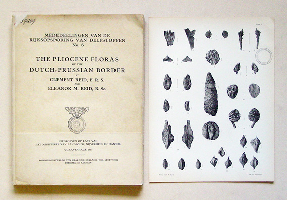 The Pliocene floras of the Dutch-Prussian border. 