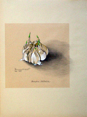 Vampir Vertreiber [Knoblauch]