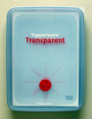 Tupperware Transparent