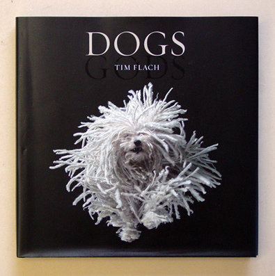 Dogs - Gods