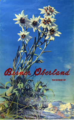 Plakat - Berner Oberland