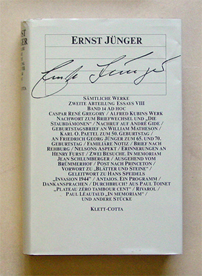 Essays VIII - Ad hoc