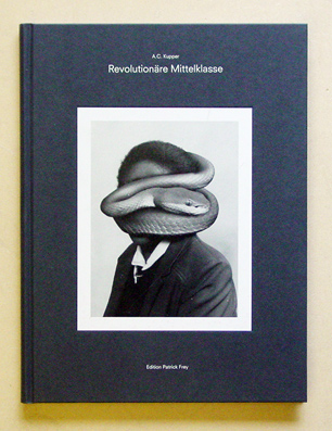 Revolutionäre Mittelklasse