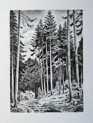 Wald und Baum. Zwölf Original-Lithographien.