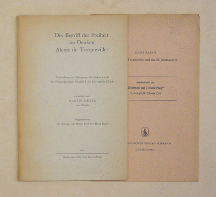 Der Begriff der Freiheit im Denken Alexis de Tocquevilles