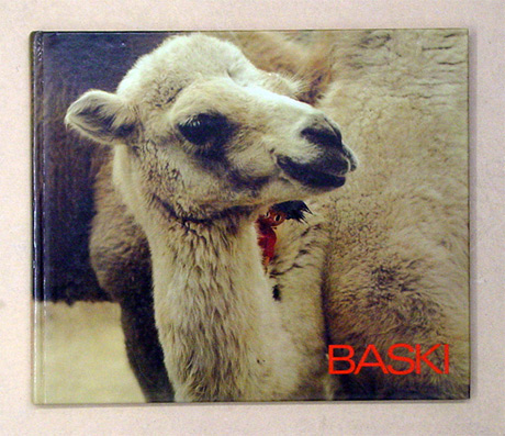Baski im Zoo