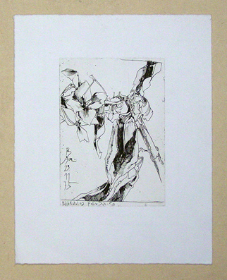 Blütenstengel - Buchkatalog Felix Jud