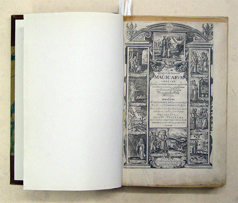 Disquisitionum magicarum libri sex: Quibus continetur  accurata curiosarum artium, & vanarum superstitionum confutatio, utilis theologis, juris consultis, medicis, philologis