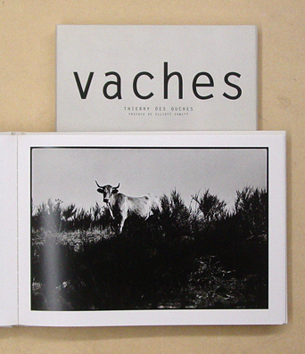 Vaches