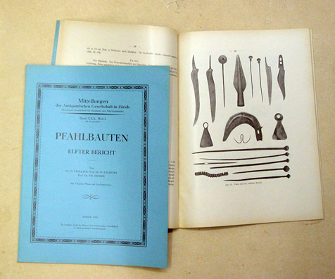 Pfahlbauten