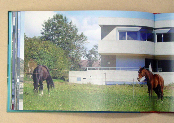 Steinmann und Schmid Architekten – Ruedi Walti Fotograf