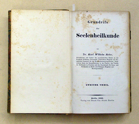 Grundriss der Seelenheilkunde