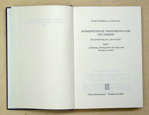 Hermeneutische Phänomenologie des Daseins