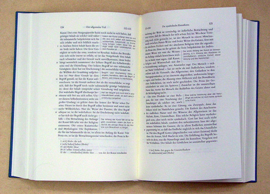 Vorlesungen über die Philosophie der Kunst