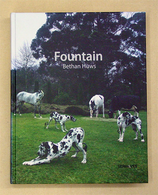 Fountain