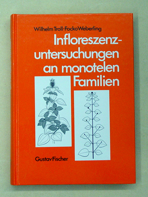Infloreszenzuntersuchungen an monotelen Familien