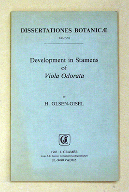Development in Stamens of Viola Odorata