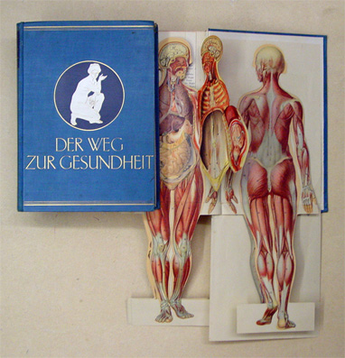 Der Weg zur Gesundheit
