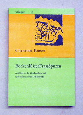 BorkenKäferFrassSpuren
